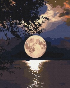 Картина за номером 40*50 см BS 05639 "Захід сонця" Brushme