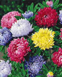 Картина за номером 40*50 см BS 54120 "Різнобарвні айстри" Brushme