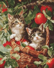 Картина зі страз 40*50 см АМО 20277 "Коти у кошику" Ідейка