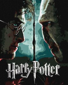 Картина за номером 40*50 см КНО5222 "WB Harry Potter: Гаррі та Волдеморт" з фарбами металік Ідейка