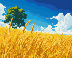 Картина за номером 40*50 см BS54382 "Поле золотих колосків" Brushme