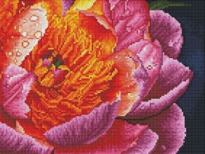 Картина зі страз 30*40 см RDBS 7005 "Барвиста півонія" Brushme